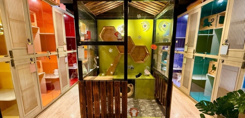 圖片 中英純貓酒店 (天后) | 灣仔區