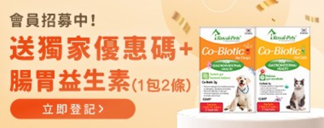 圖片 Demo Test Whats App