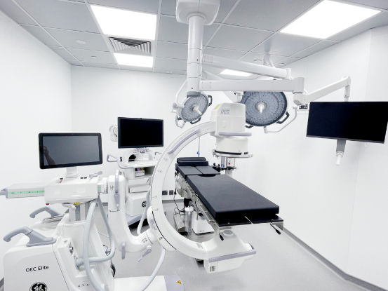 圖片 VetiVa寵物疫苗 - 混合預防針 DHPPi+L (狗)