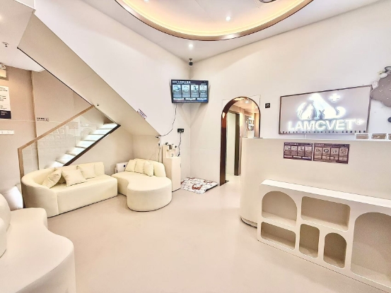 Picture of 萊奧動物醫療中心 狗狗體檢計劃