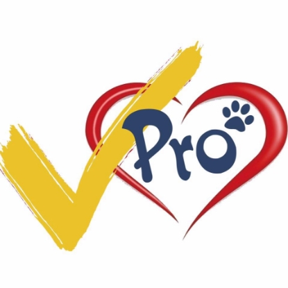 圖片 專寵高齡 (7+) 狗狗健康檢查計劃