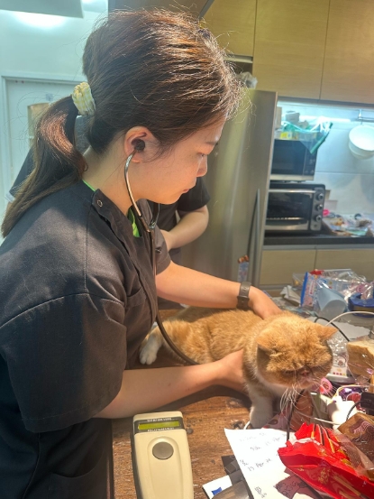 圖片 專寵高齡 (7+) 狗狗健康檢查計劃