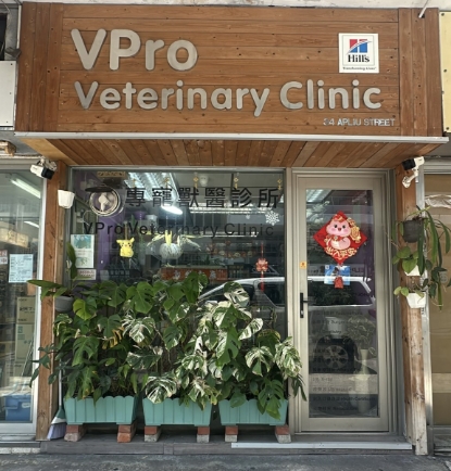 圖片 專寵高齡 (7+) 狗狗健康檢查計劃