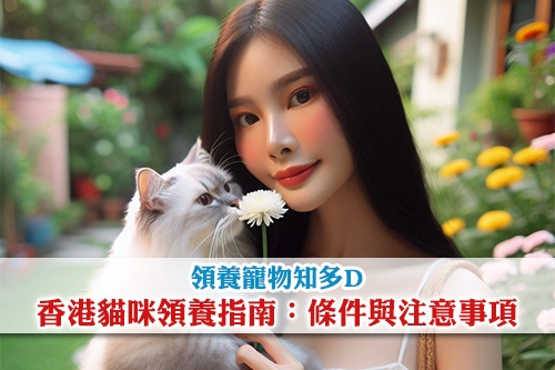 圖片 【領養寵物知多D】香港貓咪領養指南:條件與注意事項