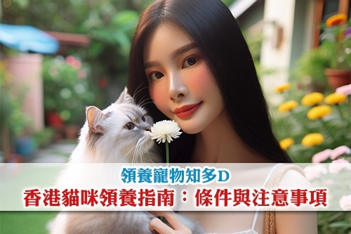 圖片 【領養寵物知多D】香港貓咪領養指南:條件與注意事項
