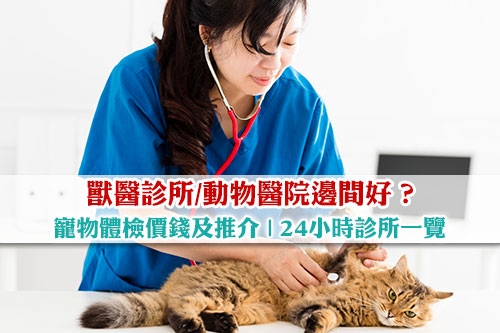 圖片 寵物醫院邊間好?寵物體檢價錢及推介| 如何選擇獸醫診所和動物醫院