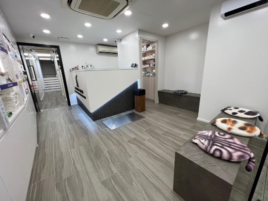 圖片 夏利維動物醫院 幼貓護理疫苗接種計劃