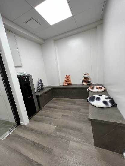 圖片 夏利維動物醫院 幼貓護理疫苗接種計劃