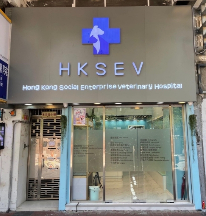 圖片 夏利維動物醫院 幼貓護理疫苗接種計劃