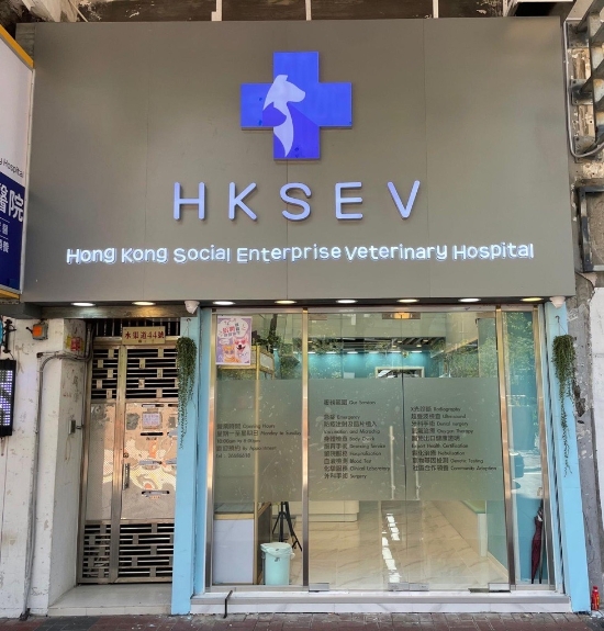 圖片 夏利維動物醫院 幼貓護理疫苗接種計劃