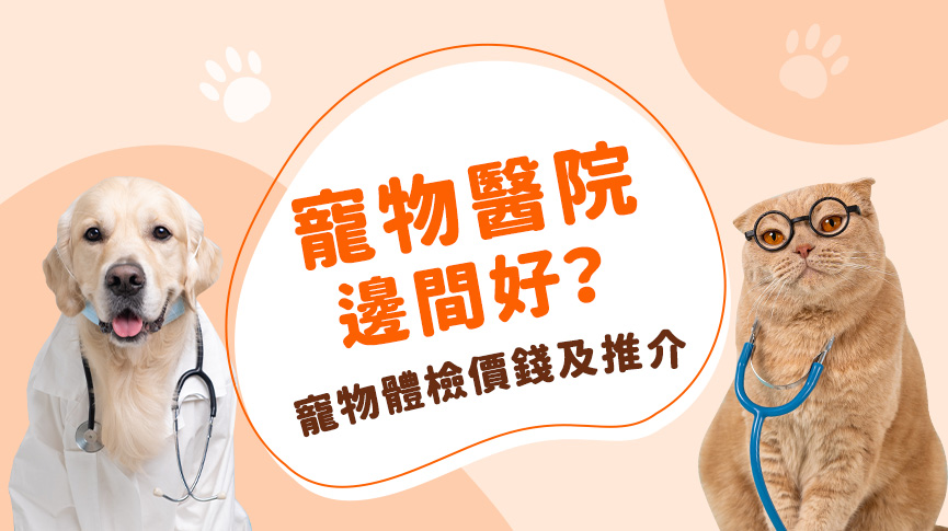 圖片 寵物醫院邊間好?寵物體檢價錢及推介| 如何選擇獸醫診所和動物醫院