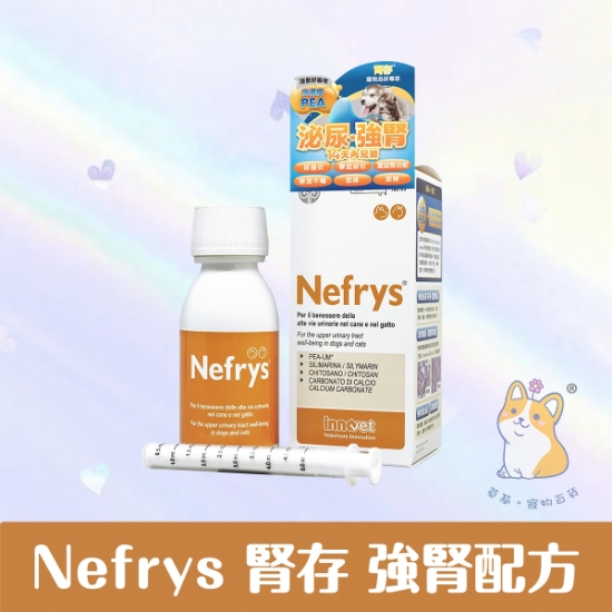 Picture of Innovet Nefrys Kidney Formula for Cats and Dogs 100ml