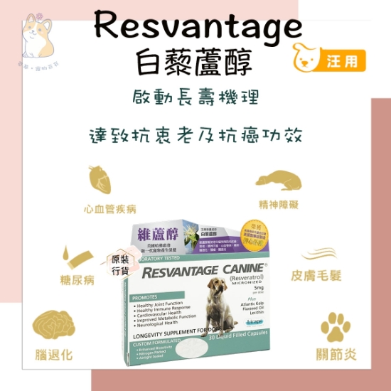 圖片 RESVANTAGER 狗狗維蘆醇白藜蘆醇 30粒 
