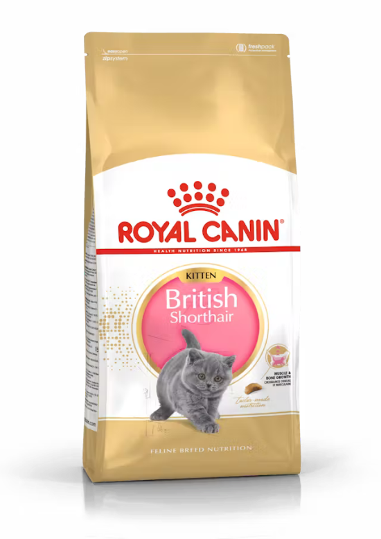 Picture of Royal Canin British Shorthair Kitten 10KG