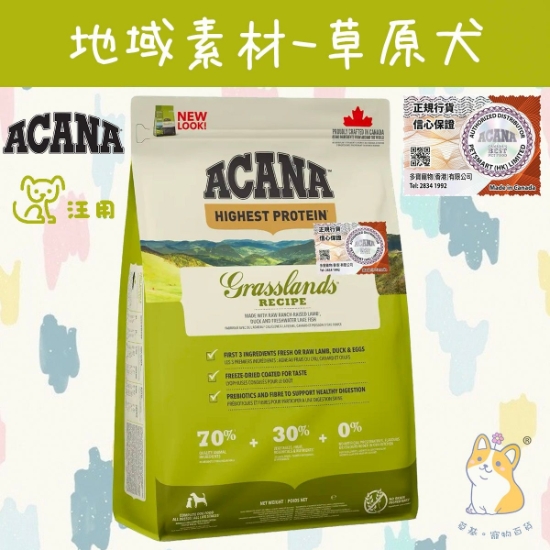 圖片 愛肯拿 草原犬 地域素材