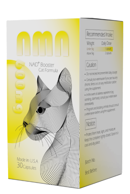 圖片 忌廉哥x DR.METRICS NMN 貓貓配⽅