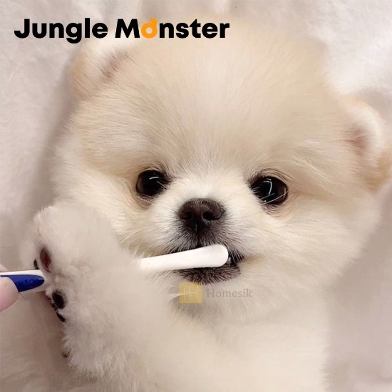 Picture of Dentisoft Toothbrush Small For Cat and Dog 3PCS Set