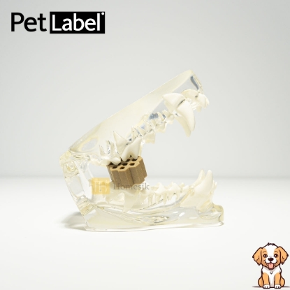 Picture of Fresh Wave Soft Dental Chews for Dog - S size (120g)